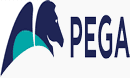 Pegasystems Exams